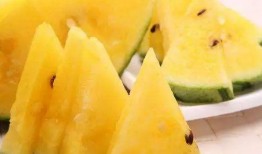52爆料吃瓜网 吃瓜每日大赛 今日黑料,吃瓜大赛今日黑料，揭秘娱乐圈最新八卦风云