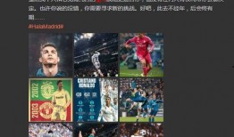 瓜在体育圈是什么意思 娱乐圈的无耻统治者完整版阅读,揭秘娱乐圈无耻统治者的真实面目